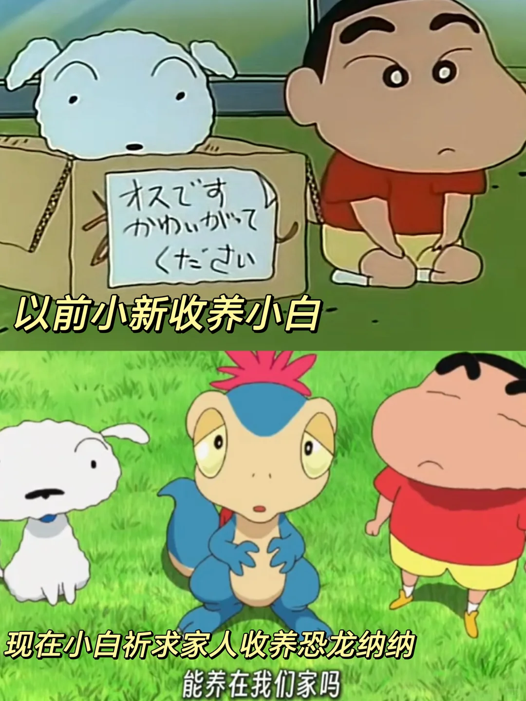 谁懂小新这句能养在我们家！含金量还在上升