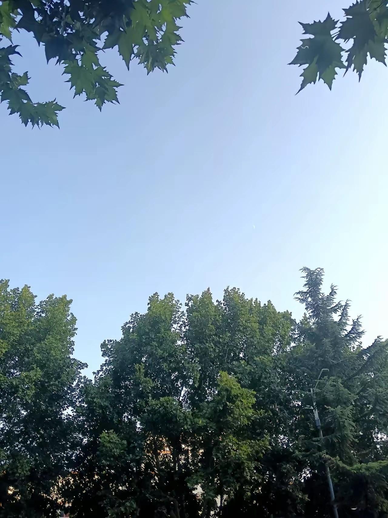 30多度的大街上，我成了唯一敢露胳膊的人

昨天下午两点，我刚走出地铁，一股热浪