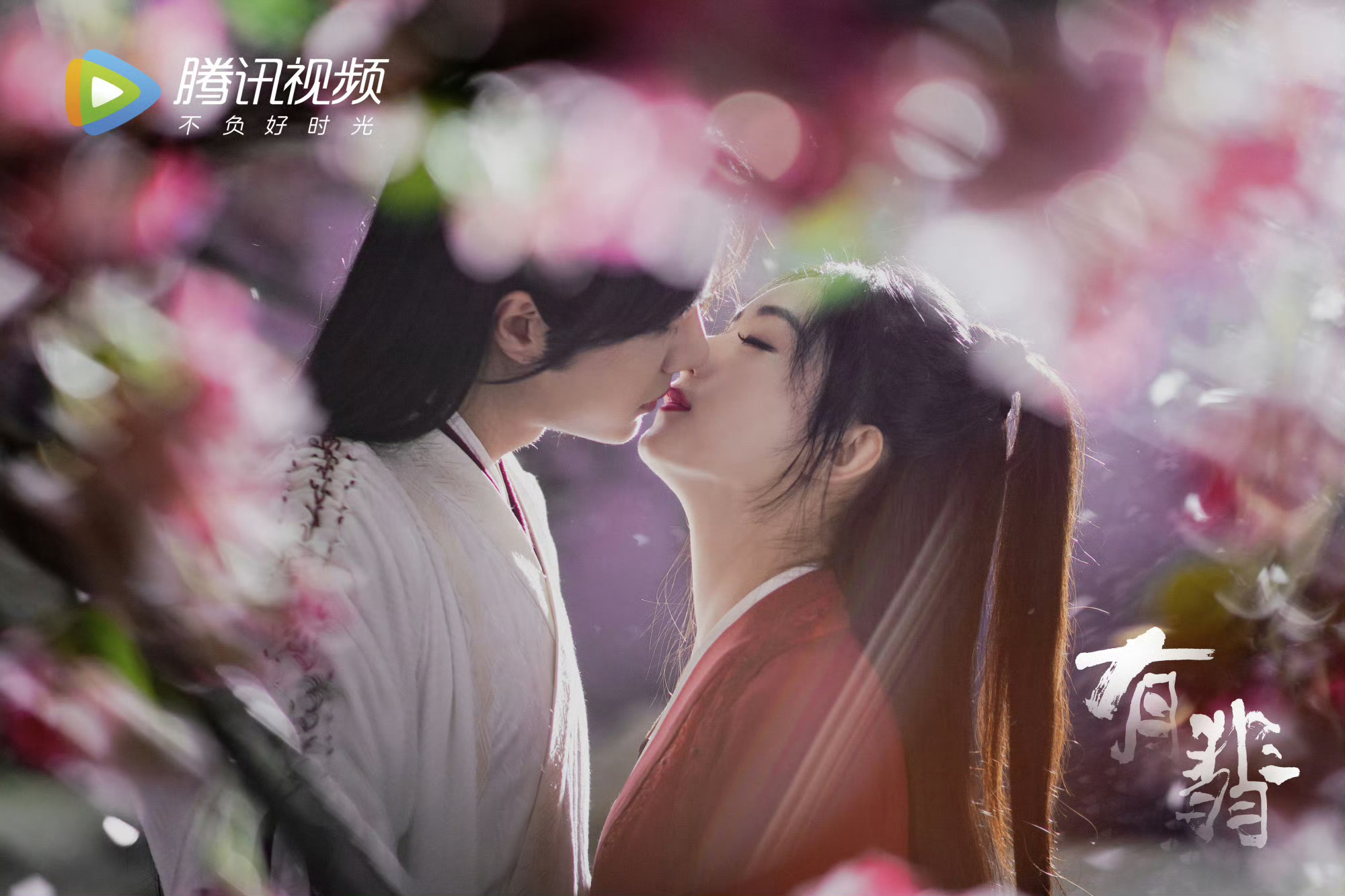 我才知道官抖账号没了 不知道是麦号了还是其他原因 但是我内心还是挺平静的 这部剧