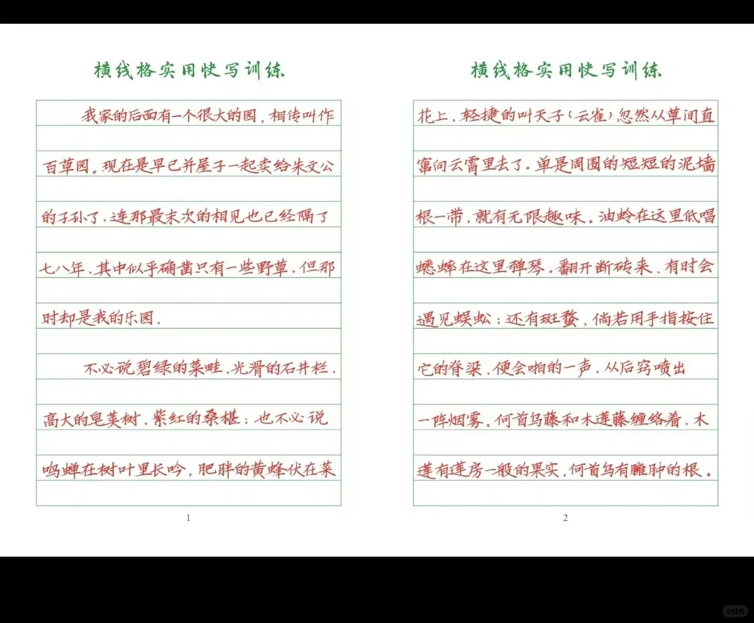 又被盗版了