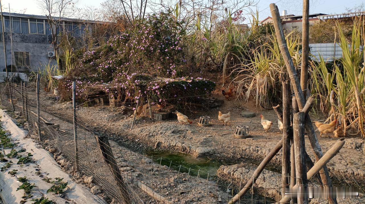 没有边界感的同事真的让人很无语。
办公室有这样一种人，对新来的同事喜欢问东问西，