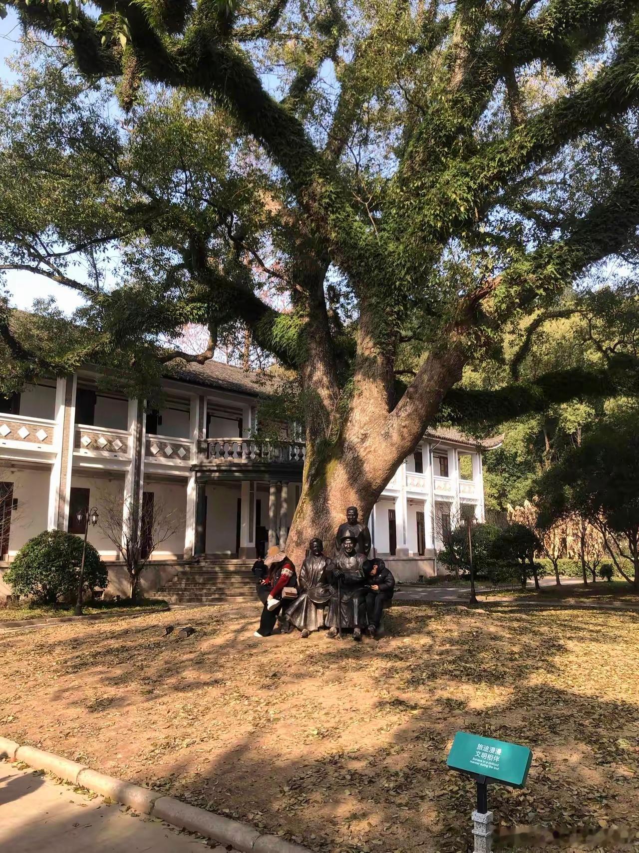 秋意渐浓🍂今年这退休金还涨不涨啊？ ​​​