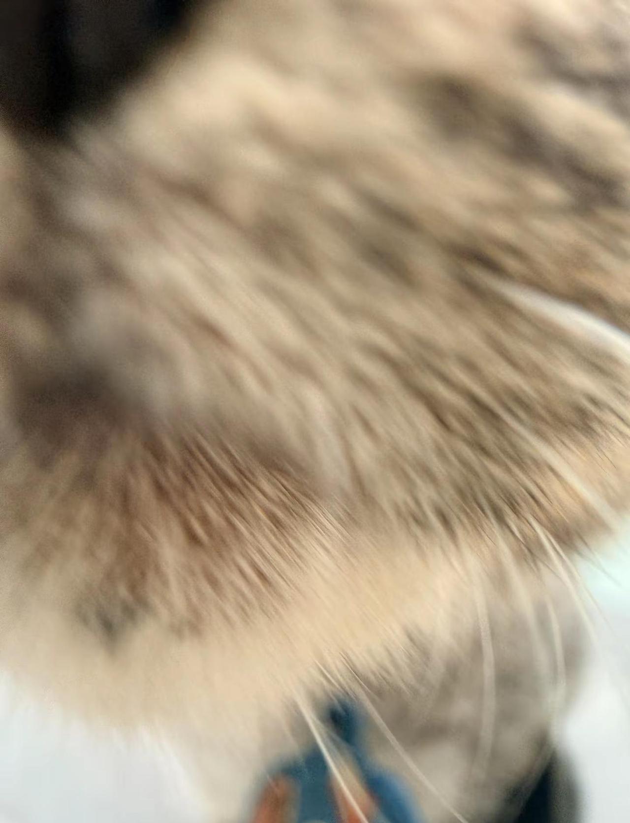 70岁大爷老来得子