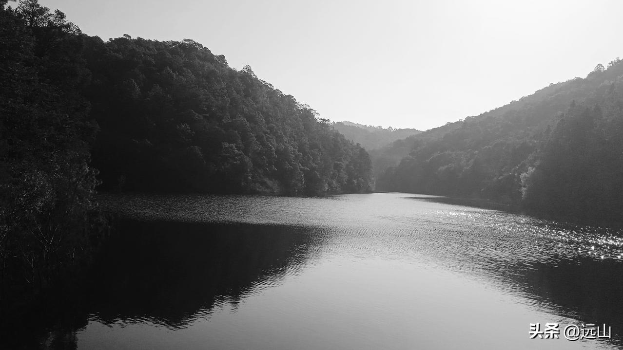 从前，山里故事多，山里那几个爱打猎的村人，扛着猎枪，唤上家狗，相约上山打猎。上山