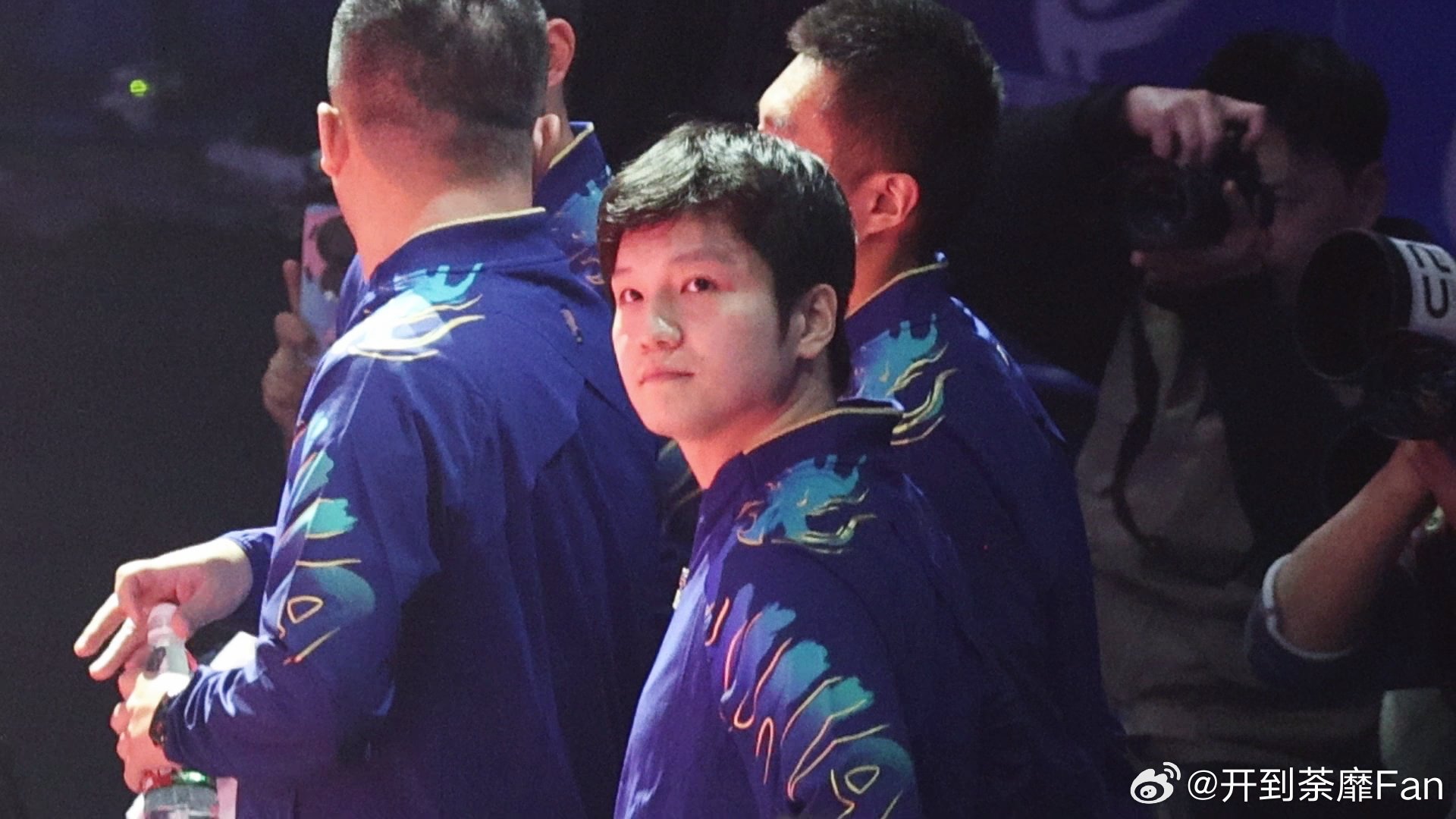 啥时见樊振东 ​​​