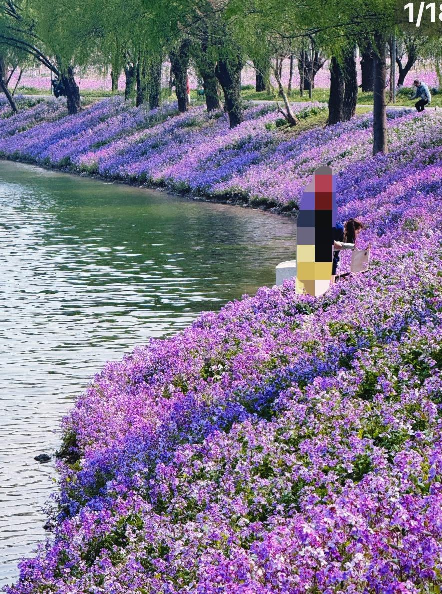 北京二手房市场这波热度到底能够持续多久？

大家都在问，小阳春以来，北京二手房这