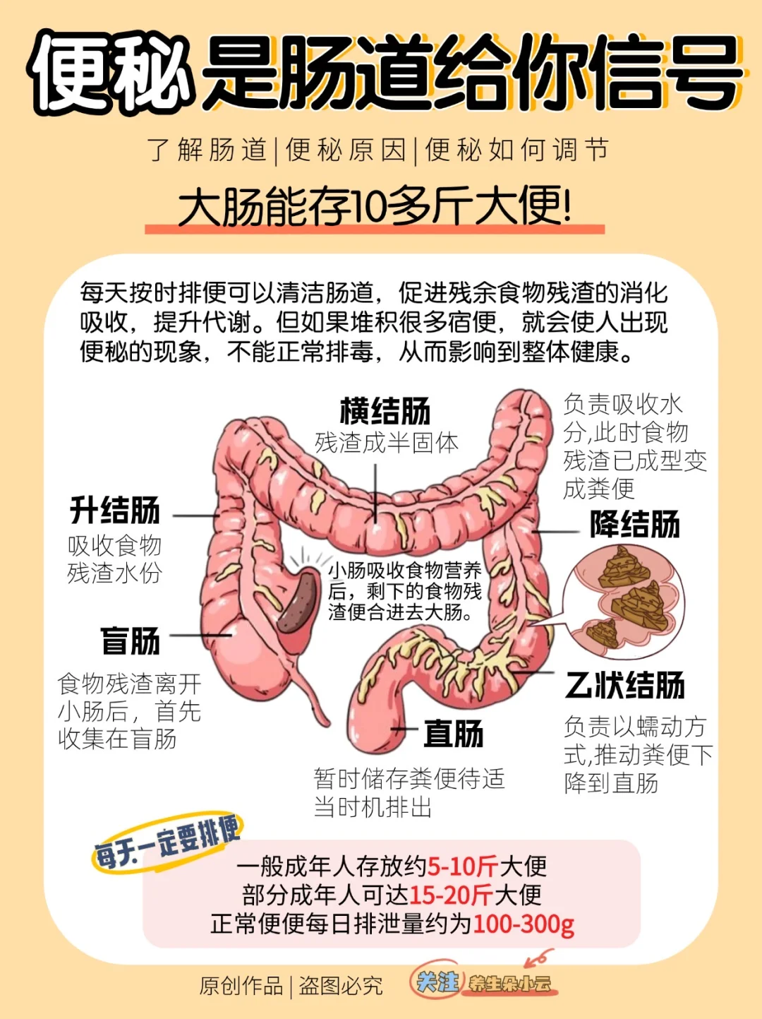 拯救便秘党🌟“排便清肠”噗噗畅快✅