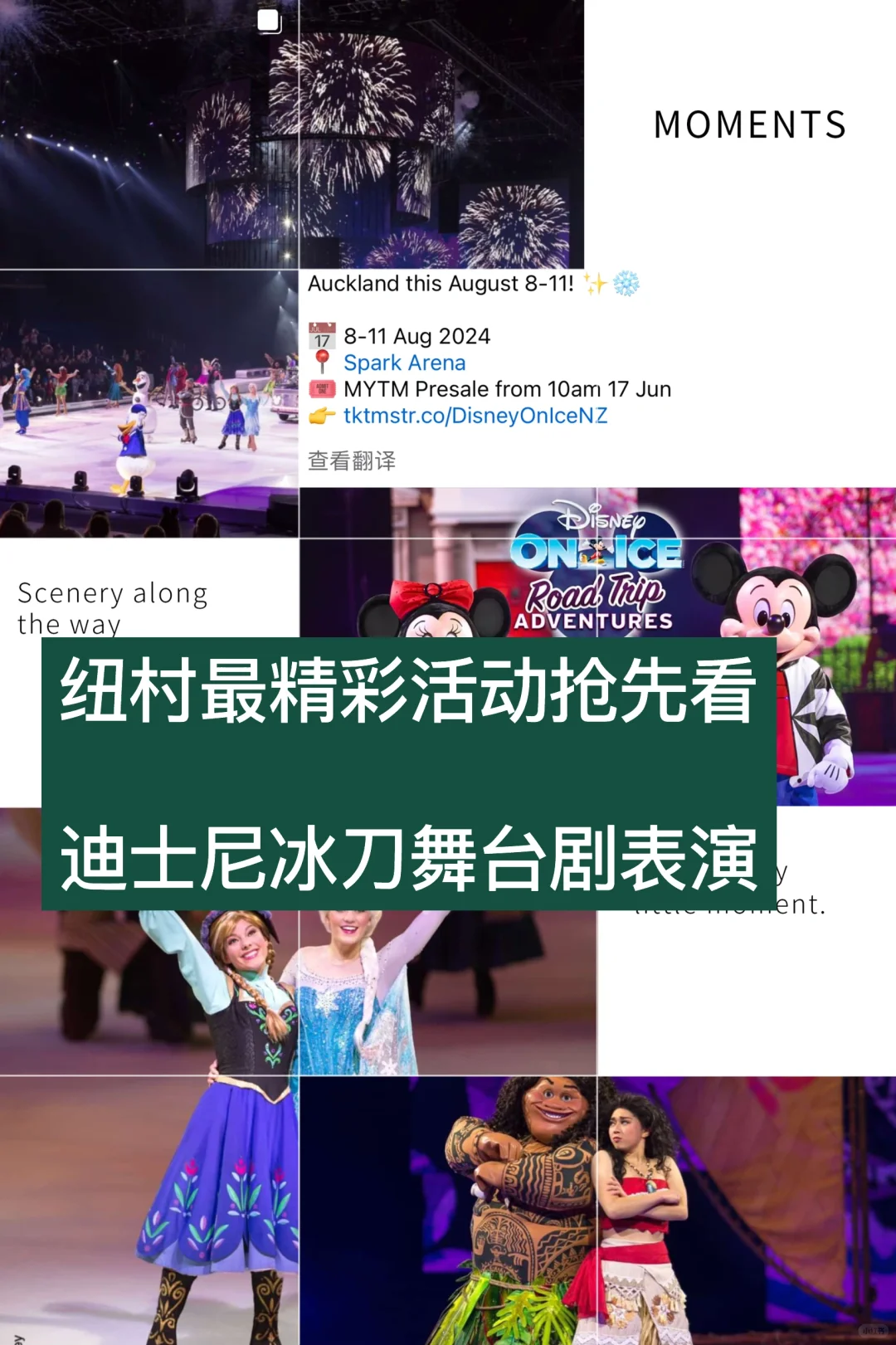 🇳🇿纽村最精彩活动 迪士尼冰刀舞台剧表演