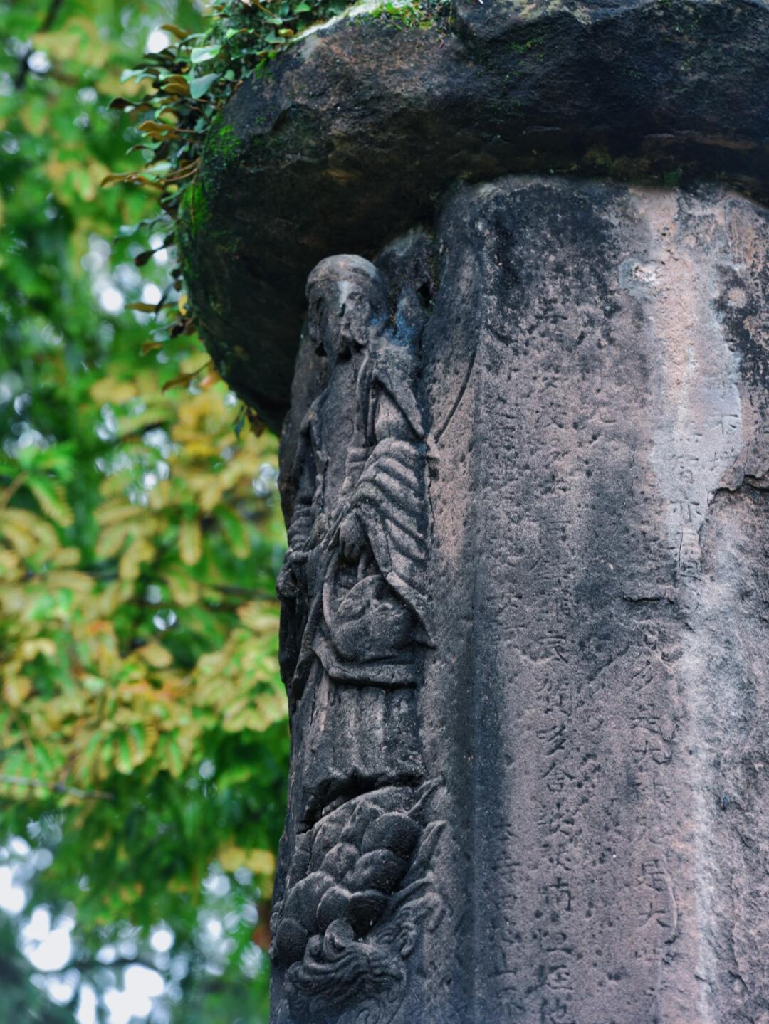 蓉城探秘|千年古树下即将消失的遗迹