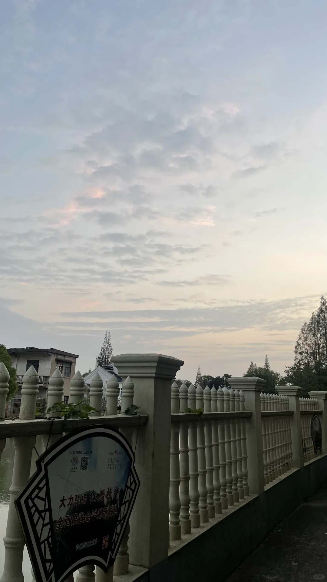 周二早餐紫米粥，芝麻包子。蒸玉米。