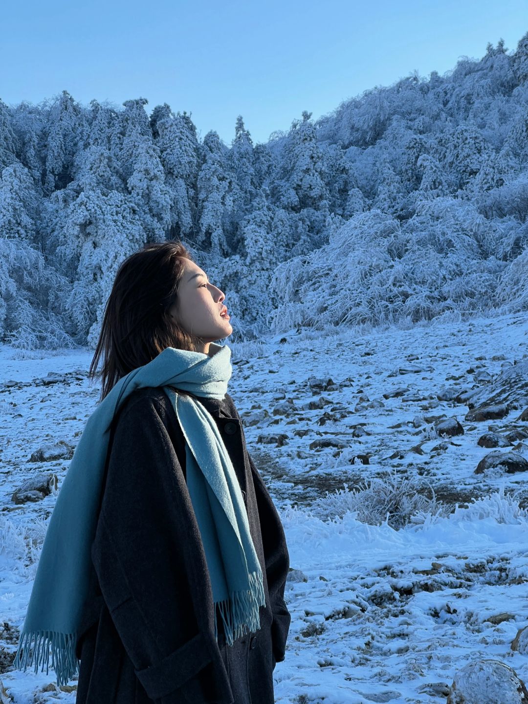 冬日来信❄️