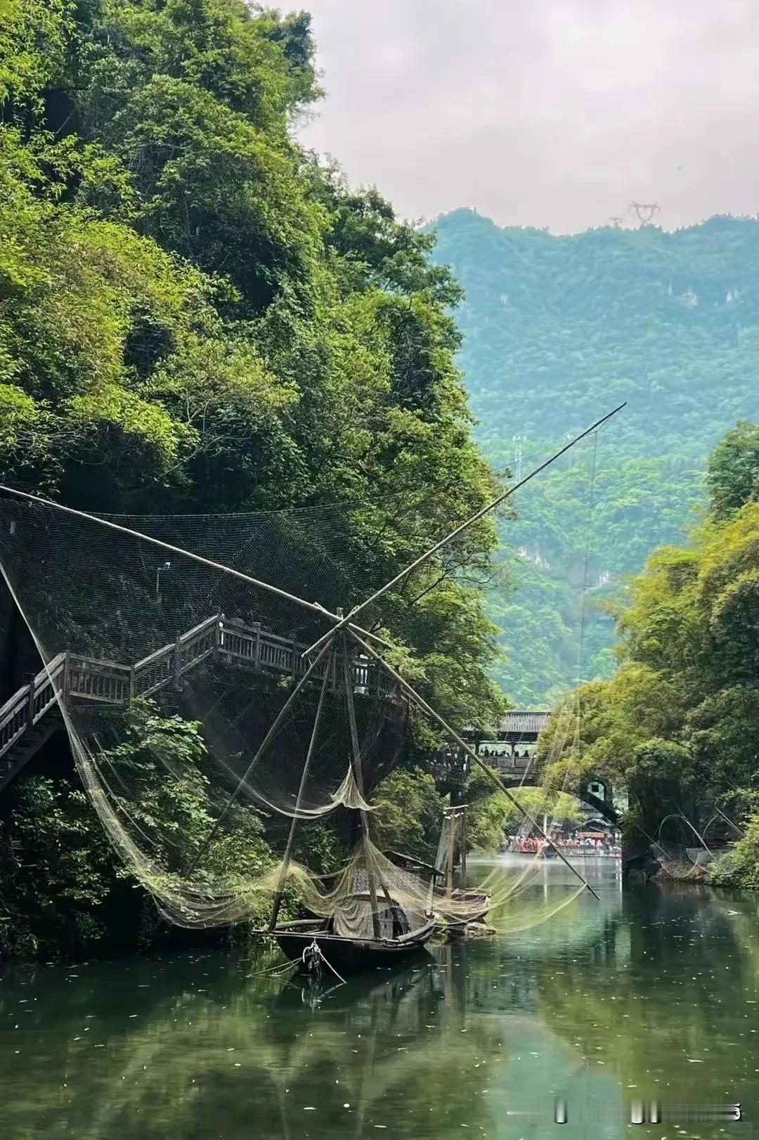 诚邀下联  心系焦桐中