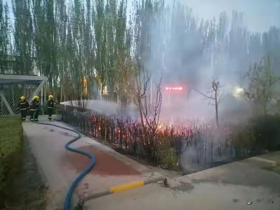 那个“不务正业”的00后，用一把火烧光了父母11万积蓄

“我就玩一下，能怎么样