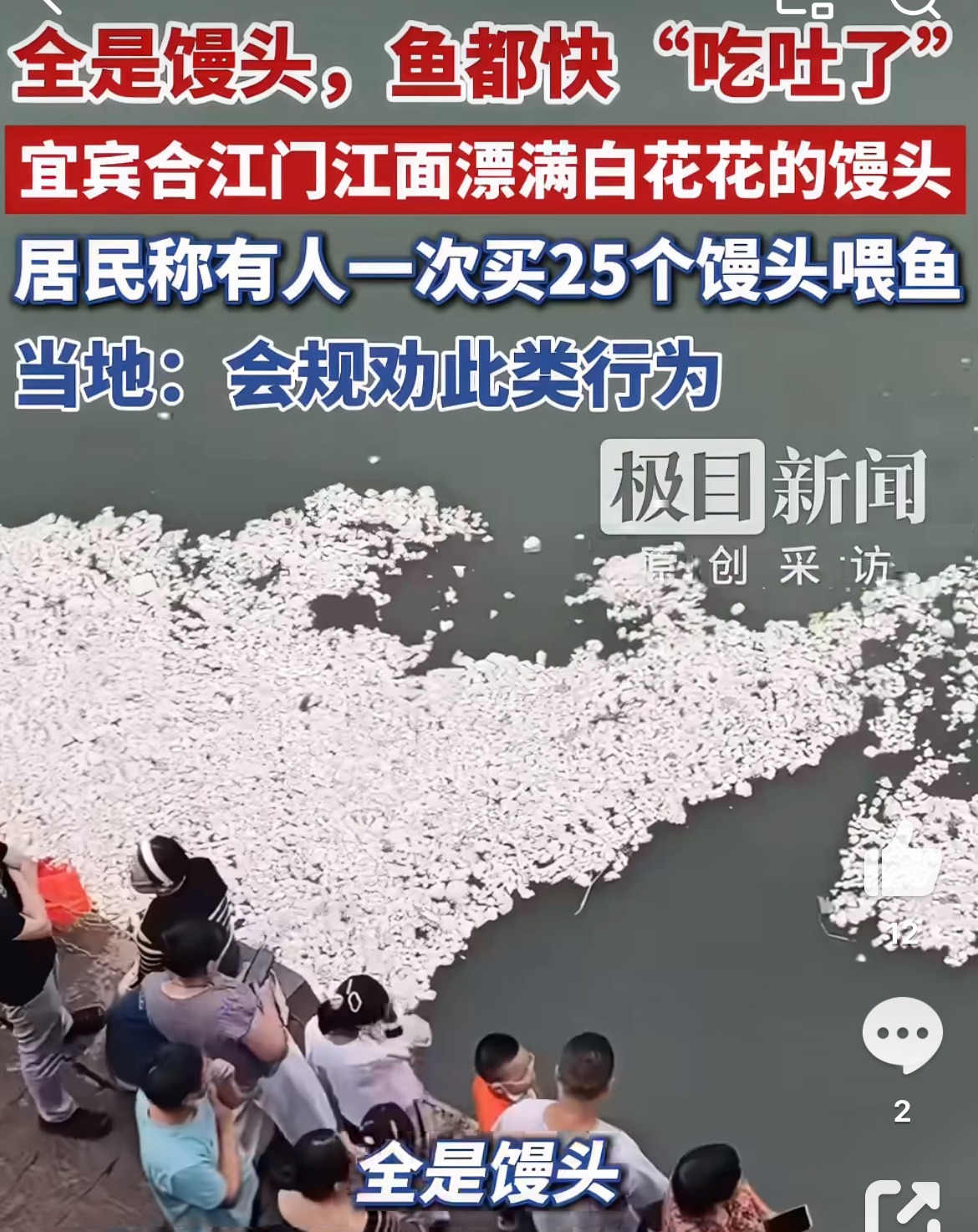 有游客一次买25个馒头喂鱼 鱼：终于实现馒头自由了[笑cry] ​​​