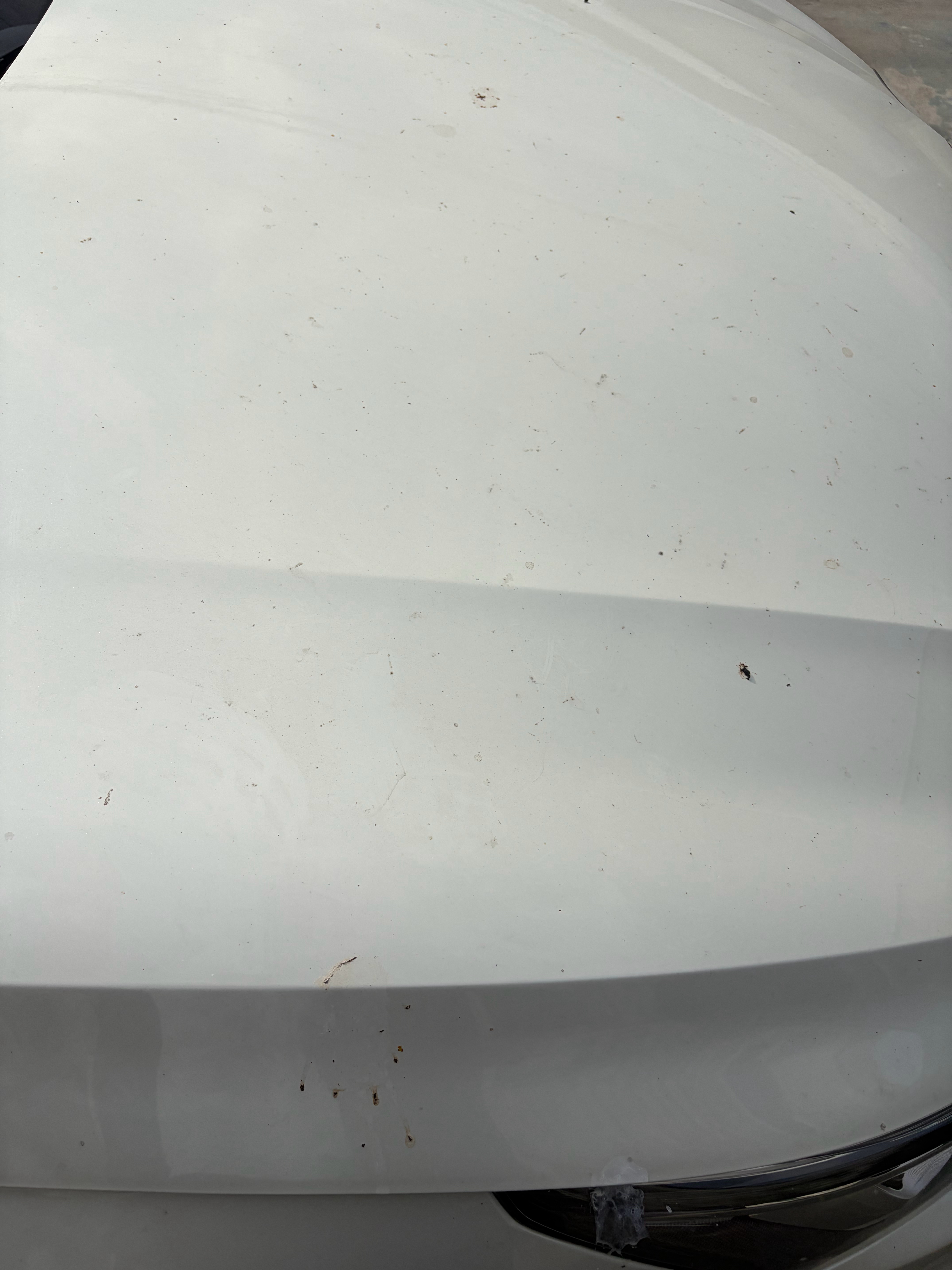 刚买车的时候，车一脏就去洗现在车脏了，问题不大，再等等，看不下去了或者有优惠了再