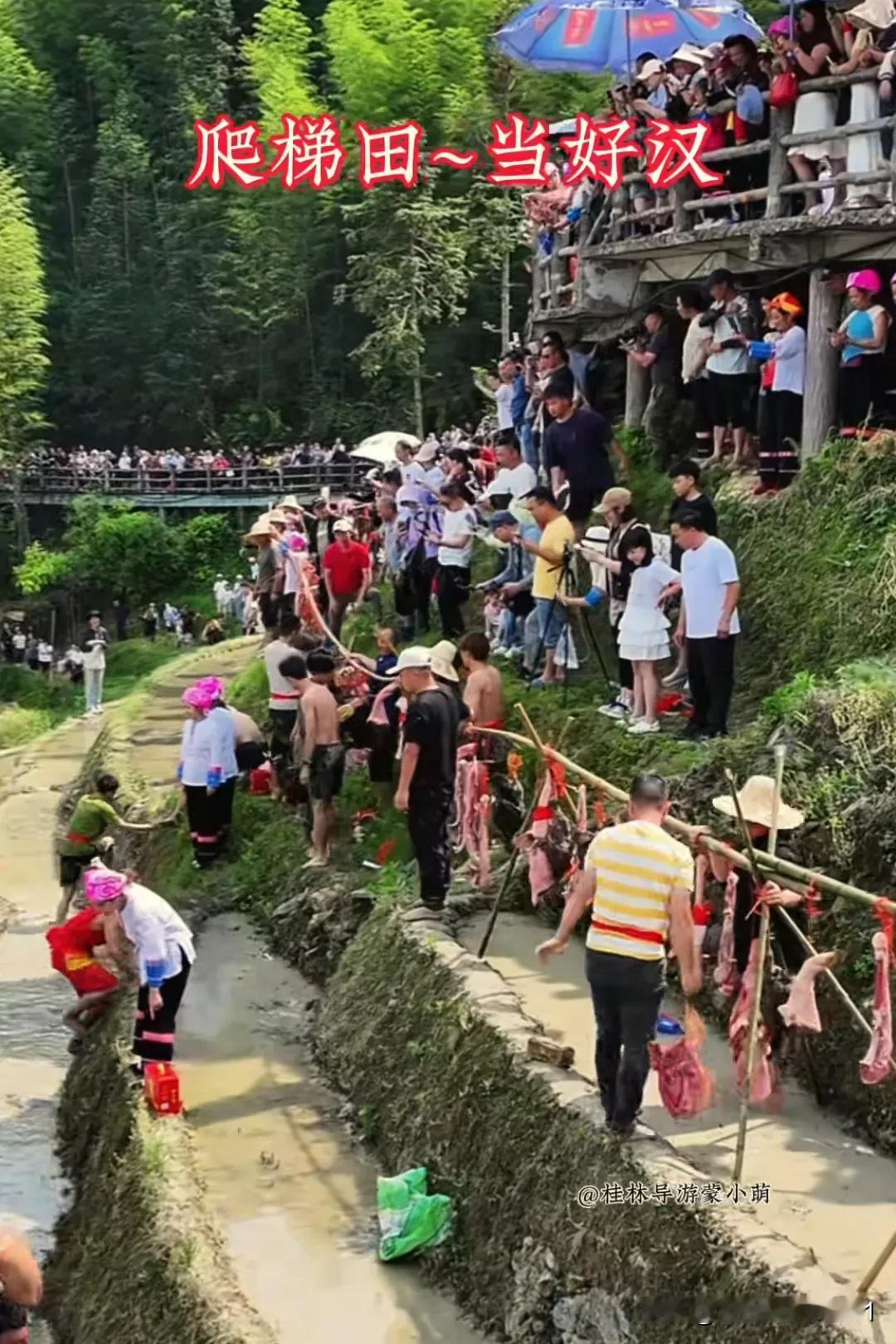 广西桂林龙脊梯田比赛作弊事件引发网友热议是合理的，以下是对此事的看法：
 
从比