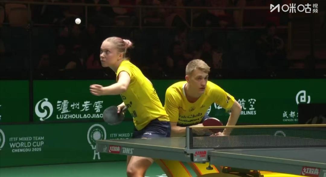 日本小张本的梦想，竟让瑞典的卡尔伯格兄妹先实现了！


瑞典队乒乓球运动员
A•