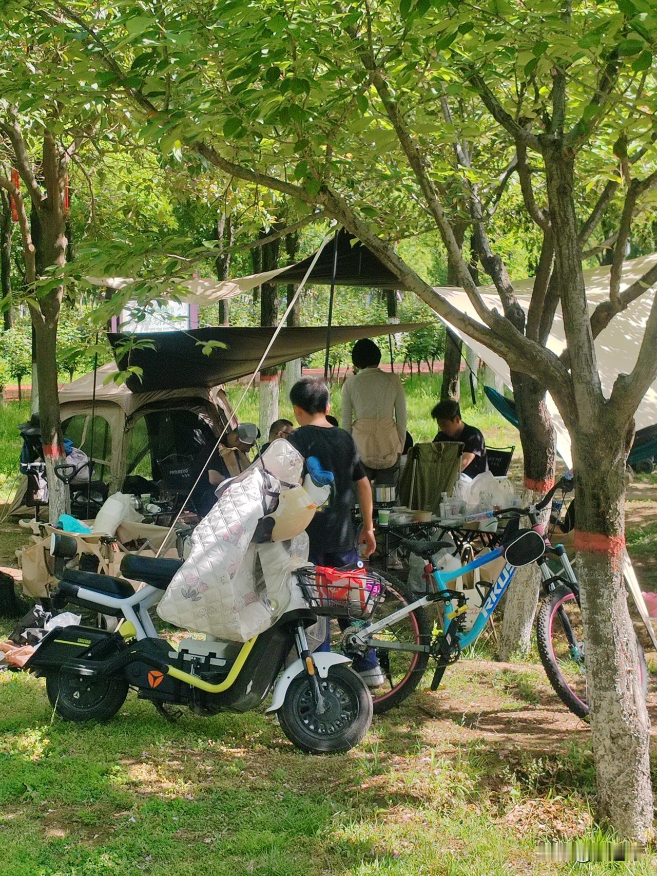 我认为宅家别人都在高速上当“添堵”，我在沙发上当“土豆”。
一到小长假，朋友圈准