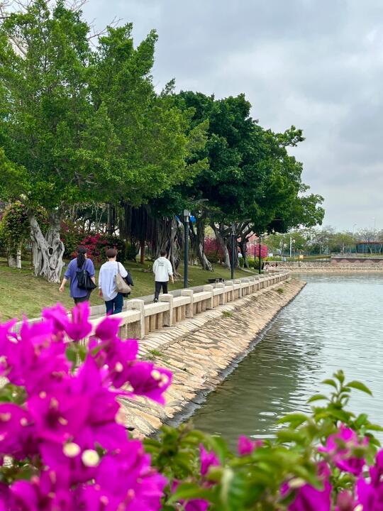 4.27厦门现状……五一来之前做好心理准备🥹