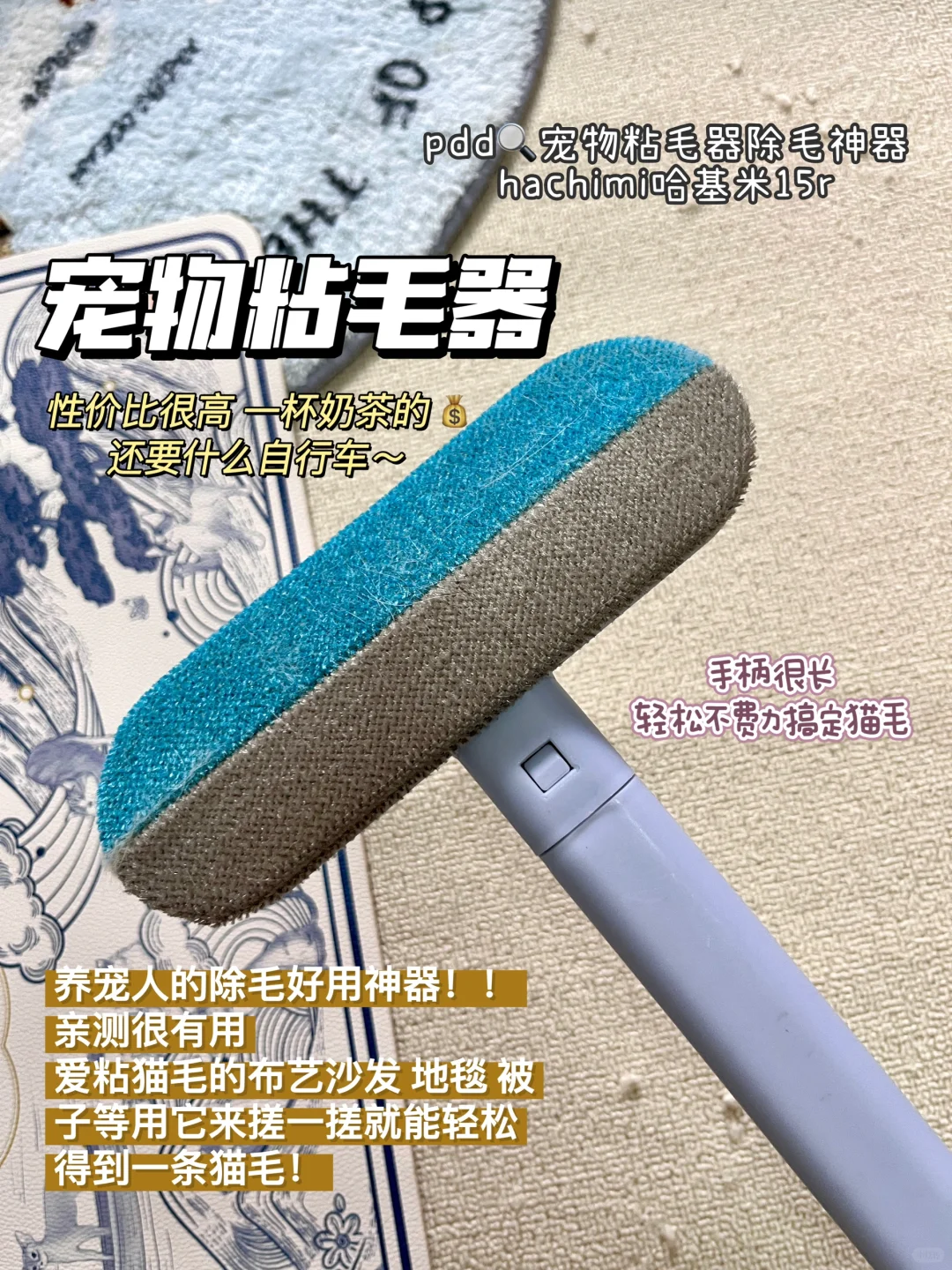 跟着我极简养猫｜有这几样就够了⛳️