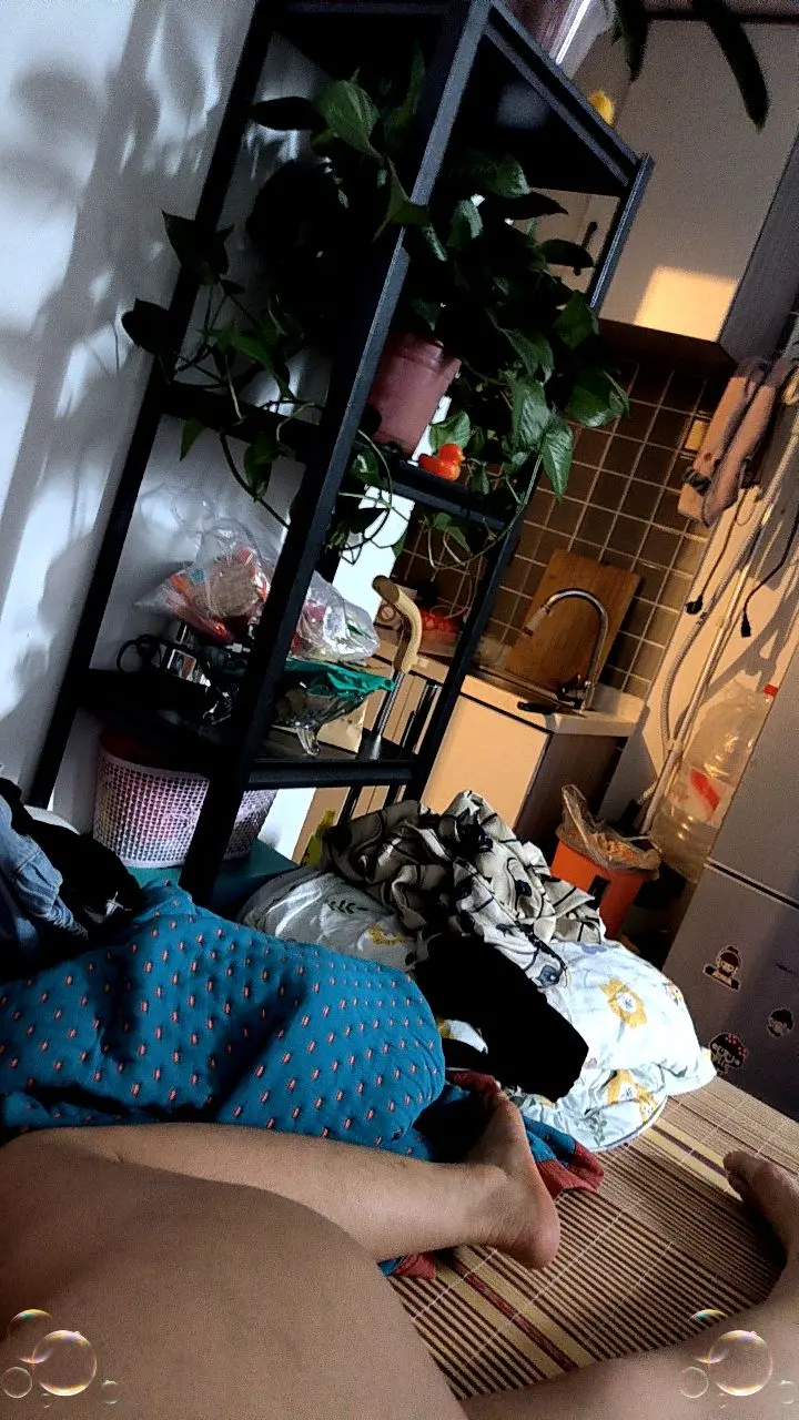 给你分享
