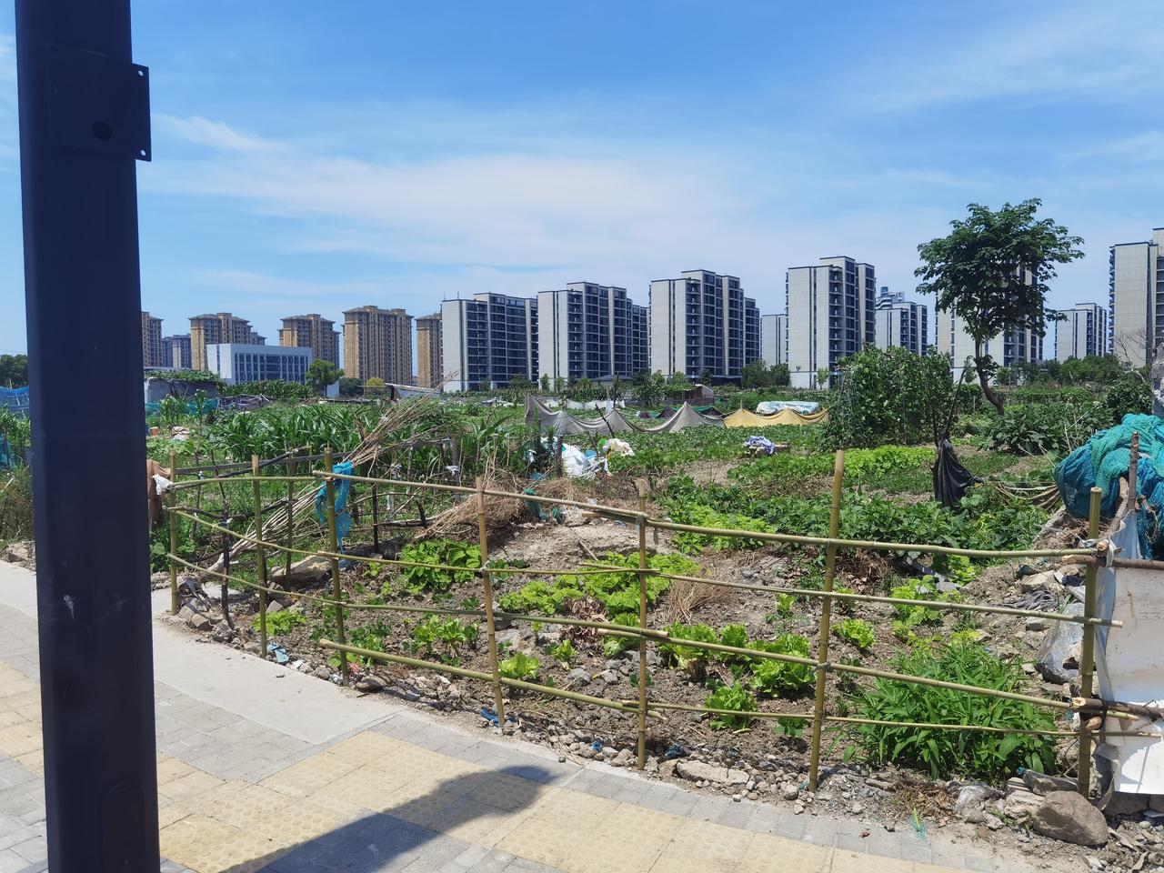 这块地据说要盖个小学，东安小学，不知真假？
