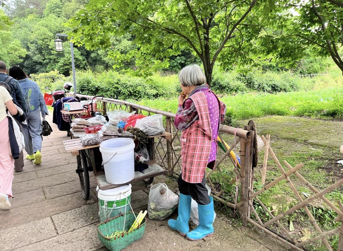 去了一趟浙江，我算是彻底被治好了“职场焦虑”。

原以为那些写字楼里的PPT汇报