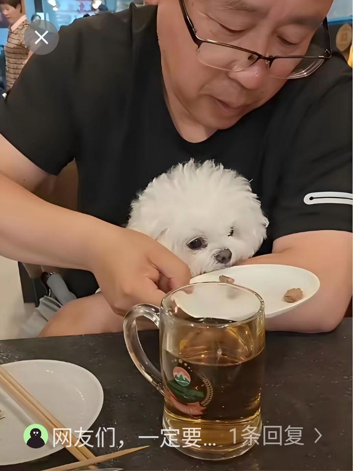 丈夫直接端盘喂小狗，妻子拍照往网上发两口子谁也不回避。

服务员来来去去，压根不