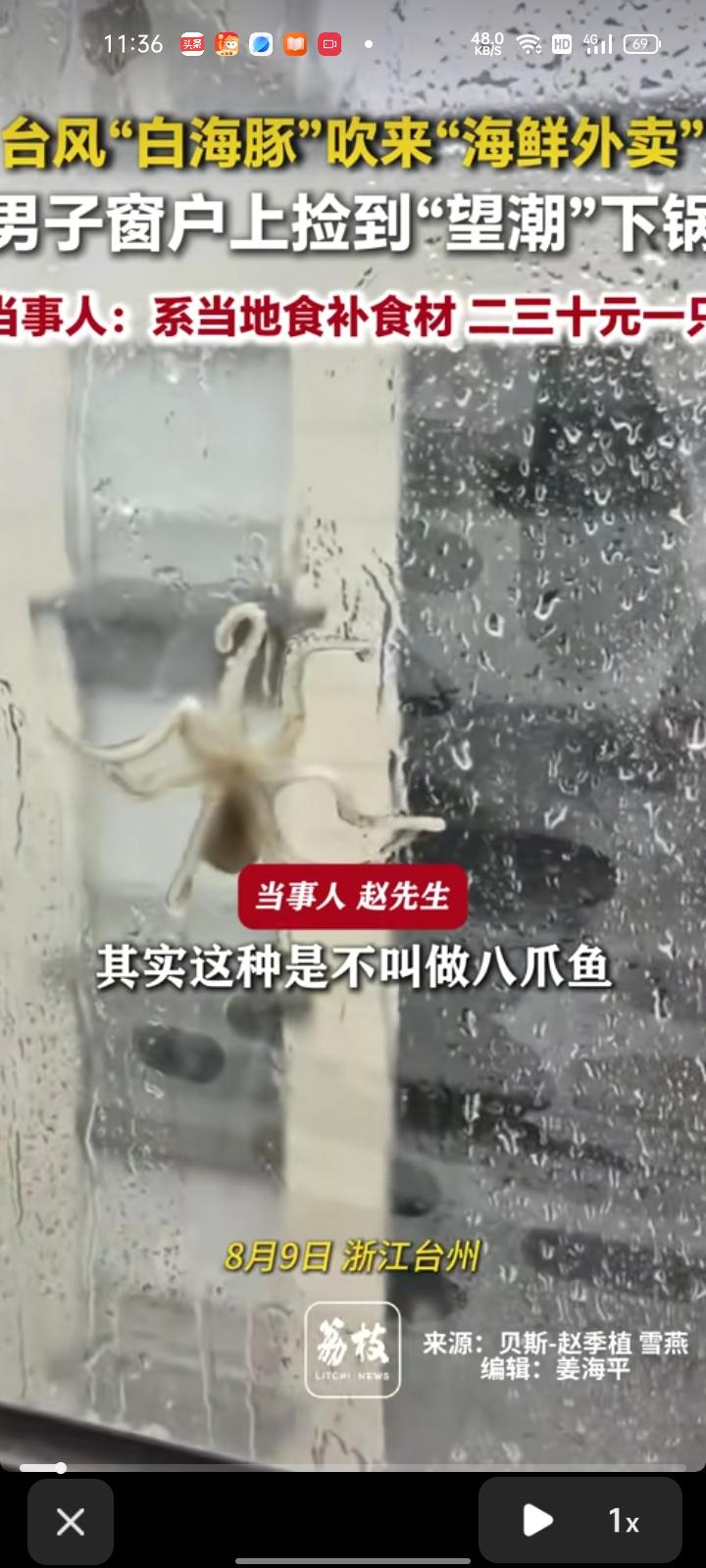 8月9日，浙江台州。网友晒视频称，台风“白海豚”登陆浙江，在自家窗户看到一只被狂