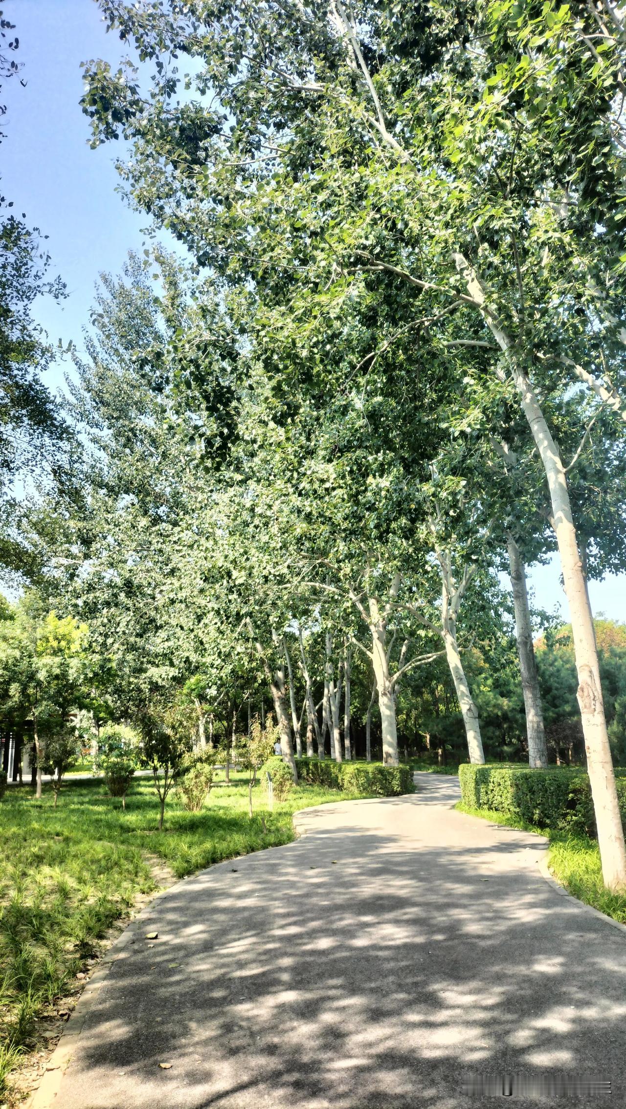 上个月，在北京丰台逛公园，听到了旁边一个50多岁的大哥给人指路，第一句无意中用了