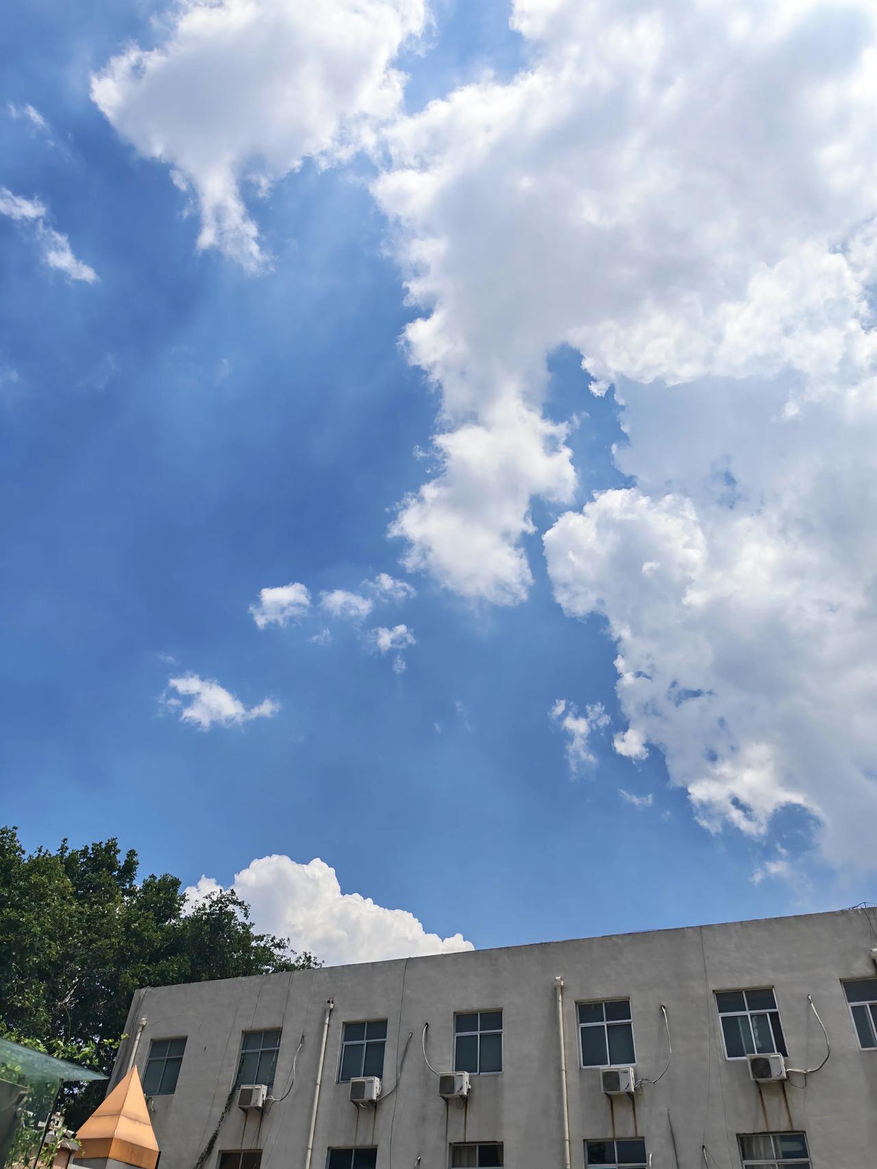 彼时此刻真的只能走一步算一步了吗，看着天空发呆也无济于事，还是想一想接下来要怎么