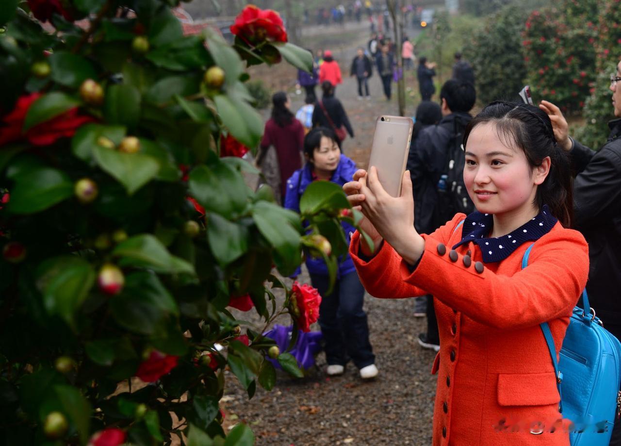 这些春天赏花照片，已经有10年了，还发过湖北日报和荆门日报[赞][赞][赞]
 