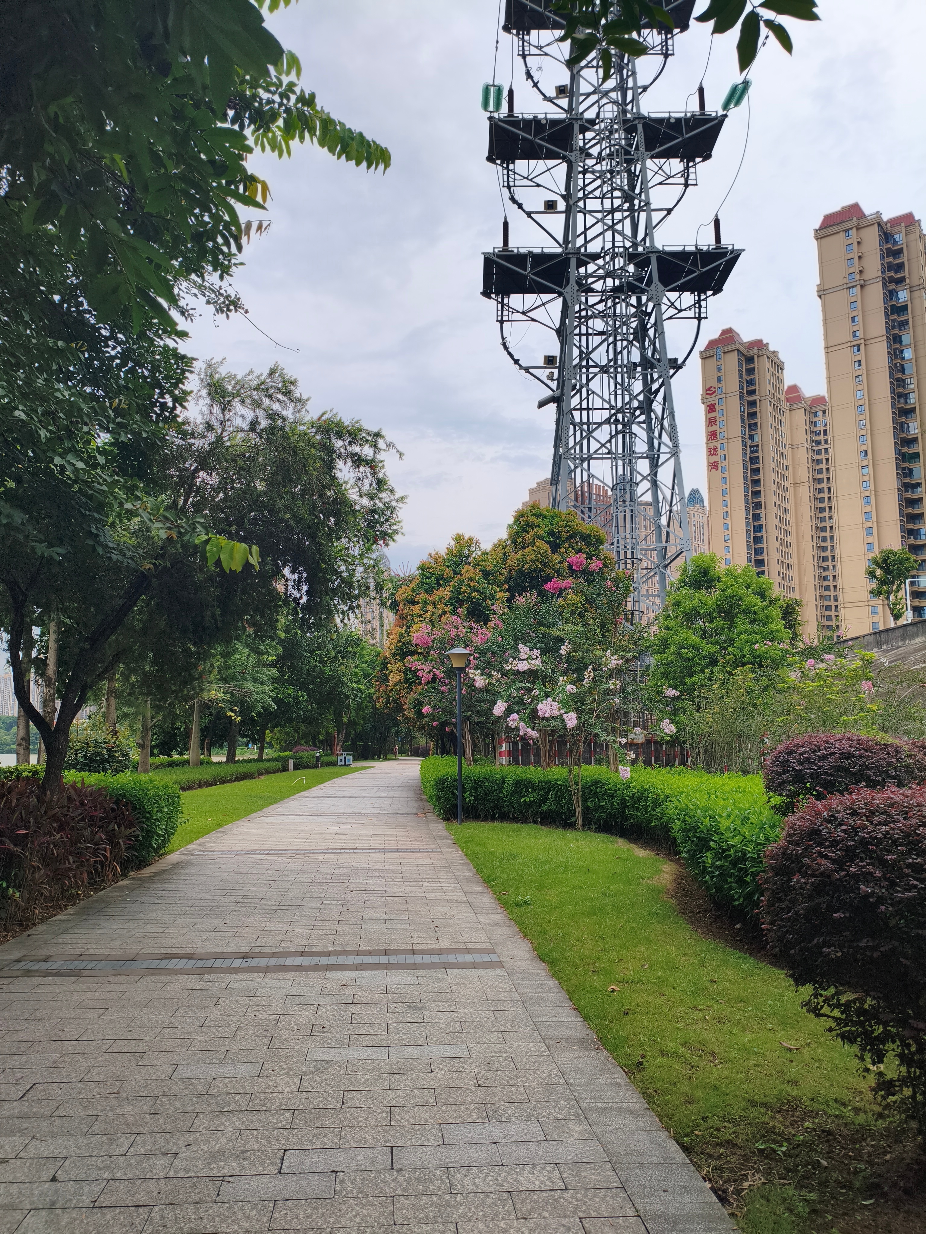 生活不会辜负每一个努力向上的人。那些看似不起眼的日复一日，终会在某天，让你看到坚