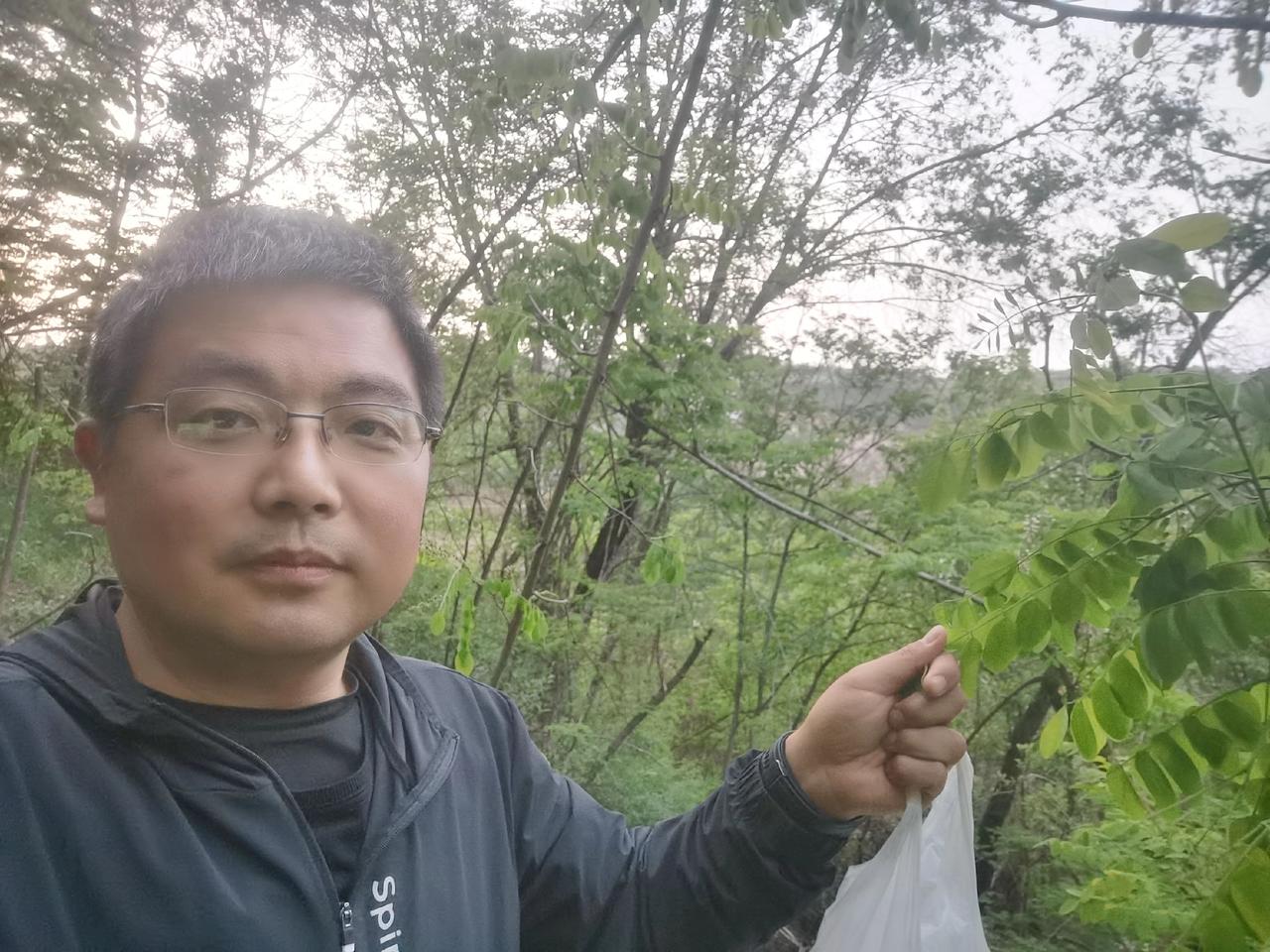 今儿回家路上瞧见一片树林杨槐花开得正盛，没忍住就摘了些。杨槐花那清甜的味儿，闻着