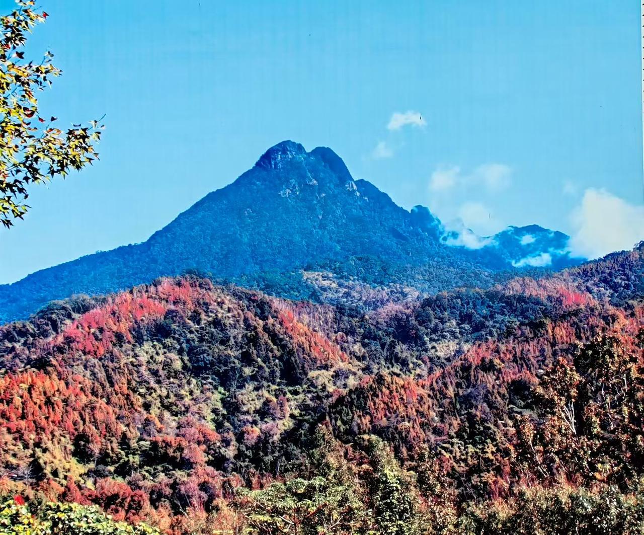 出发去五指山，带上华为超棒！五一假期，有鸿蒙全生态加持，出行超省心。行前，唤醒小