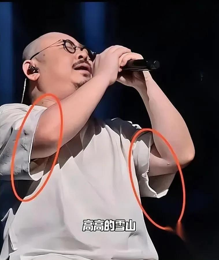 终于懂刀郎为啥被挤兑了——

不是他唱得差，是他“不属于圈子”。

有人说“圈子