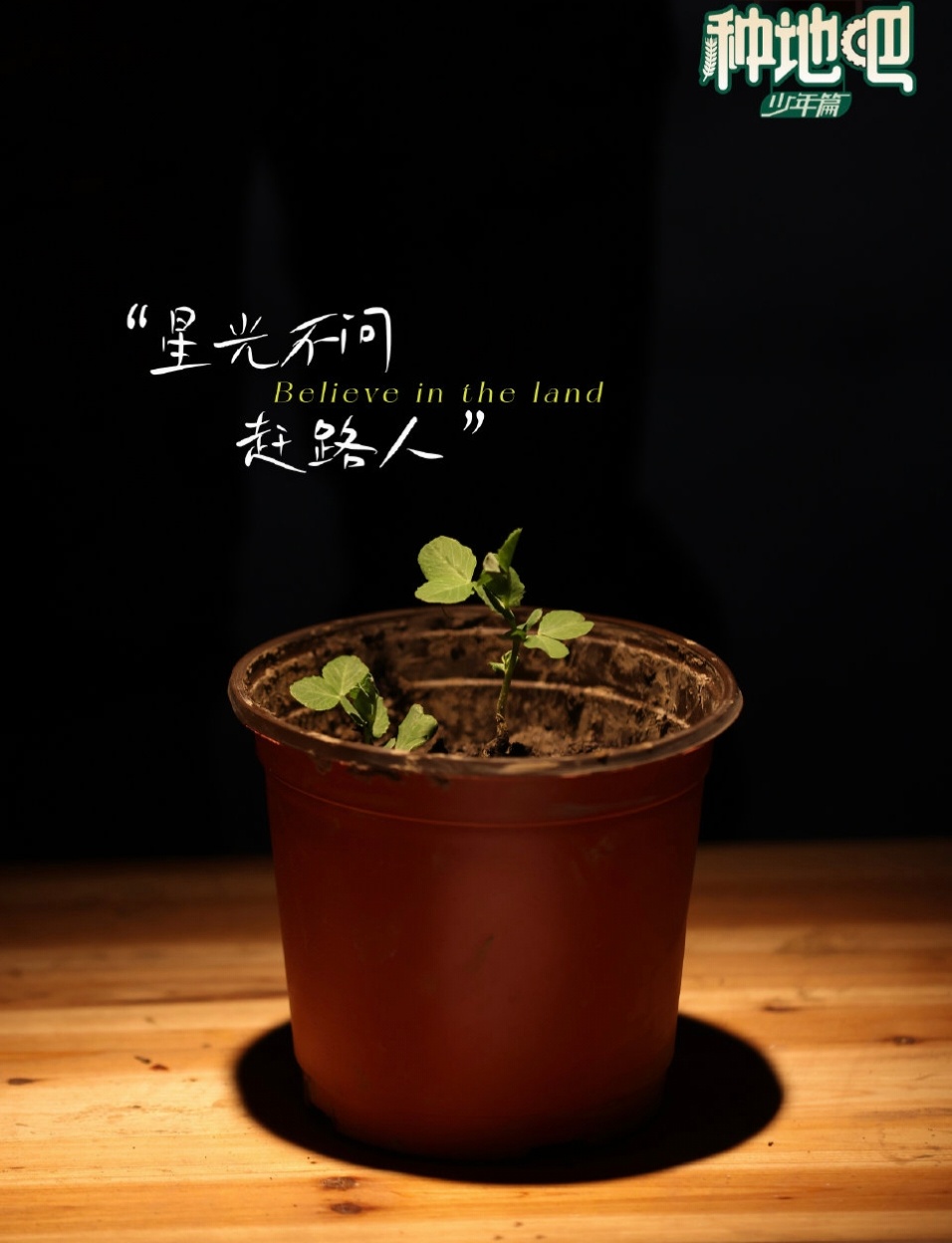 一剧早安“星光不问赶路人。”你对哪个金句印象最深？ ​​​