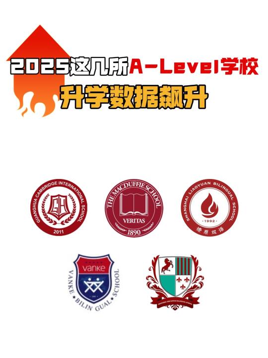 2025值得一去的国际学校 | 升学数据飙升