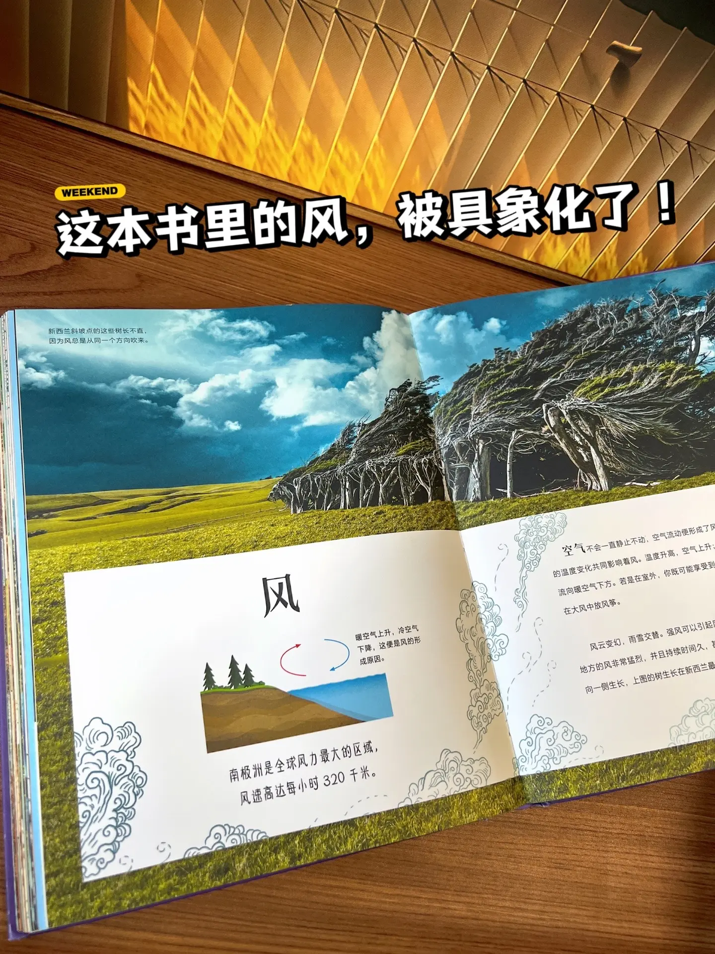 太震撼了，DK会满足所有孩子的期待🔥。从地球表面的火山🌋，到两极附...