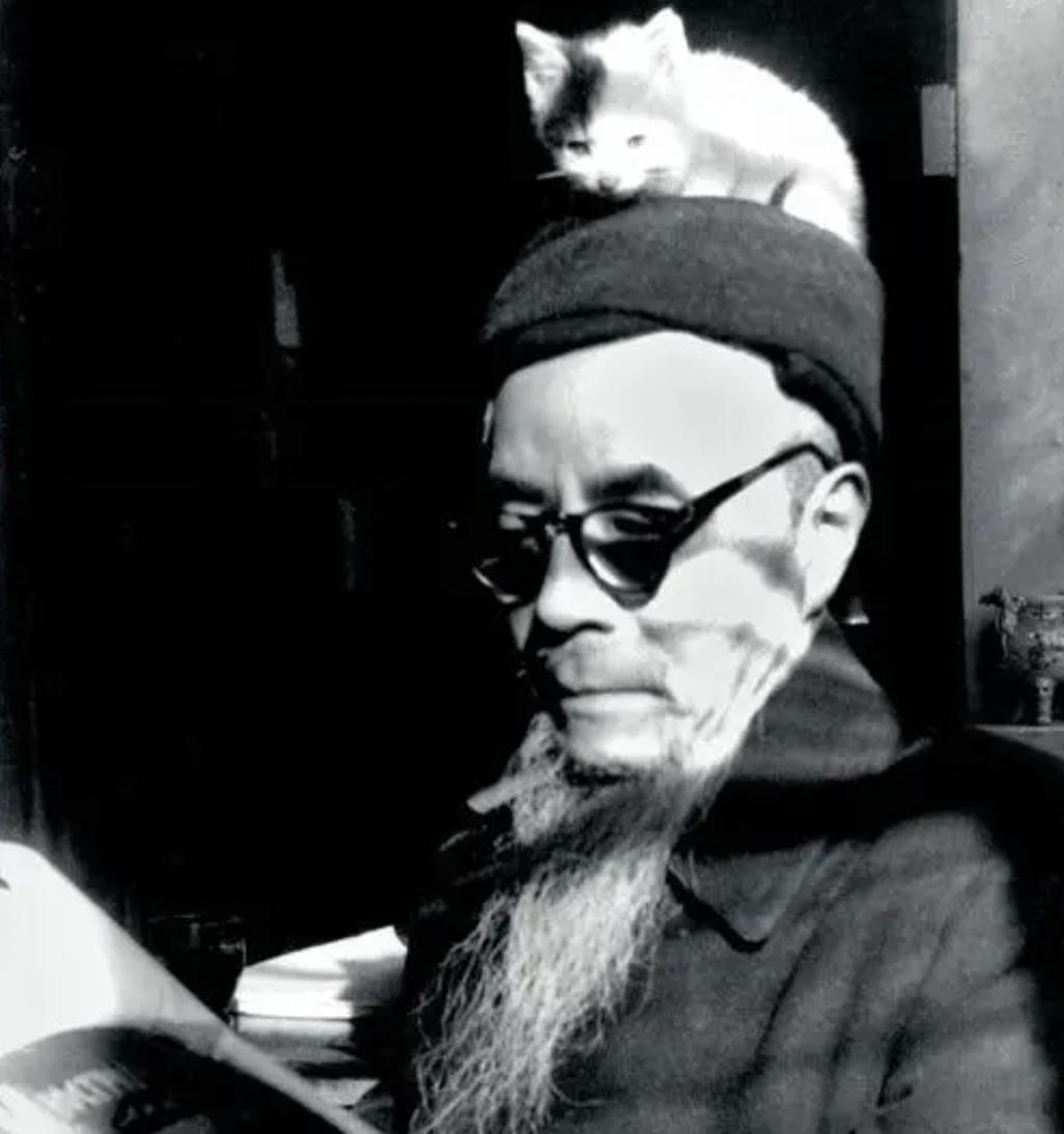 他们和猫  1、2，丰子恺和猫；丰子恺和猫的关系真是亲密。小猫不是爬到爷爷头上，