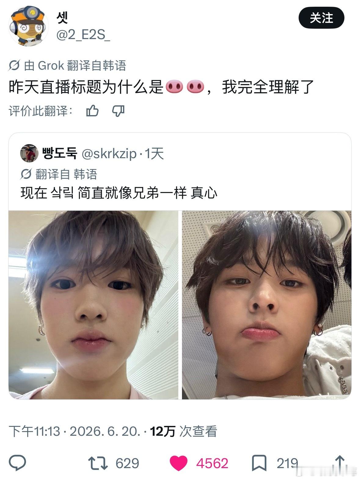 完全的卵生兄弟了，好神奇的血脉啊……  专栏 · 偶尔杂食