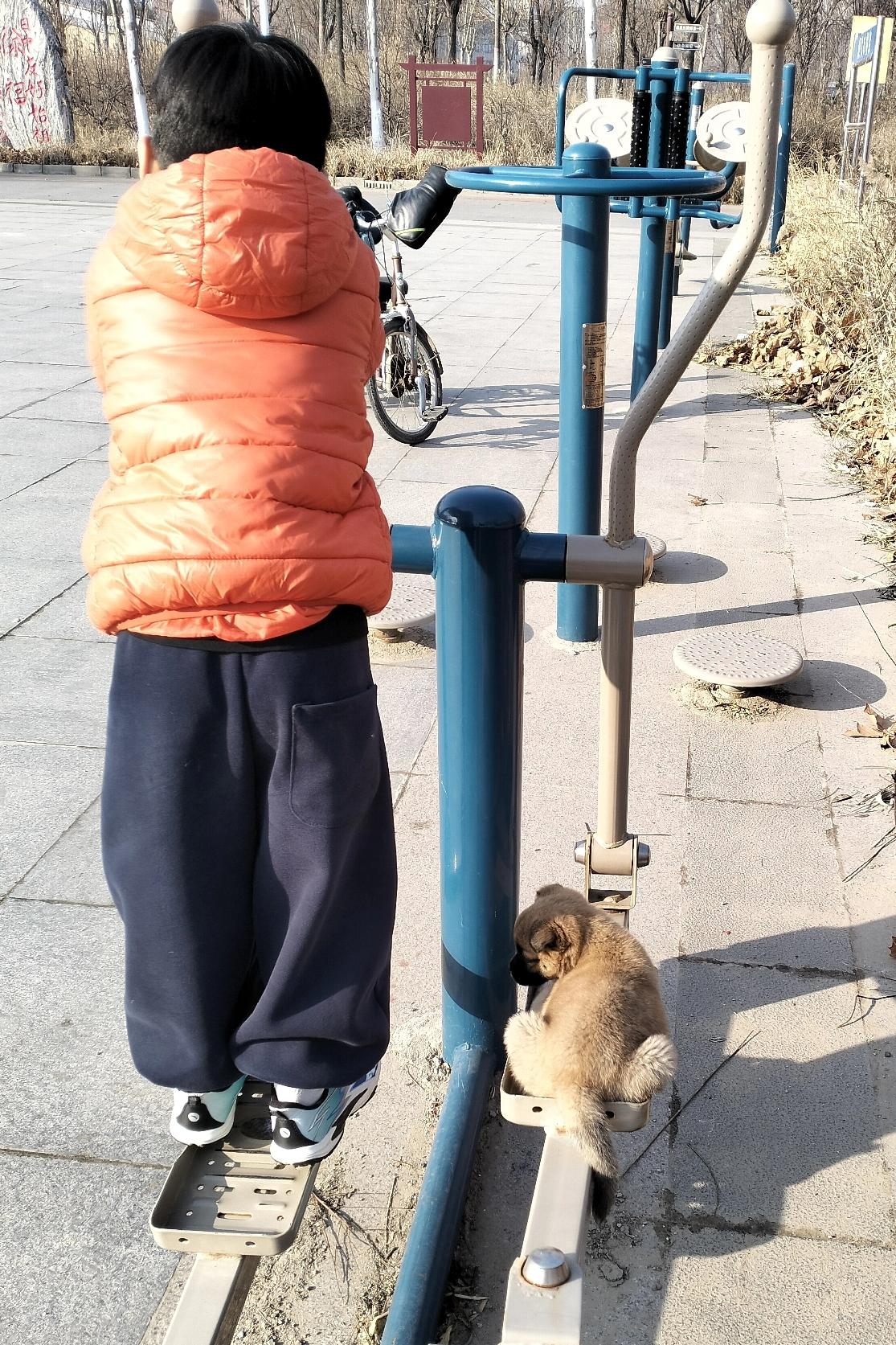 晒图笔记大赛给领养的小狗找了个小主人，没几天和小主人混熟了，去哪跟哪！这些天一直