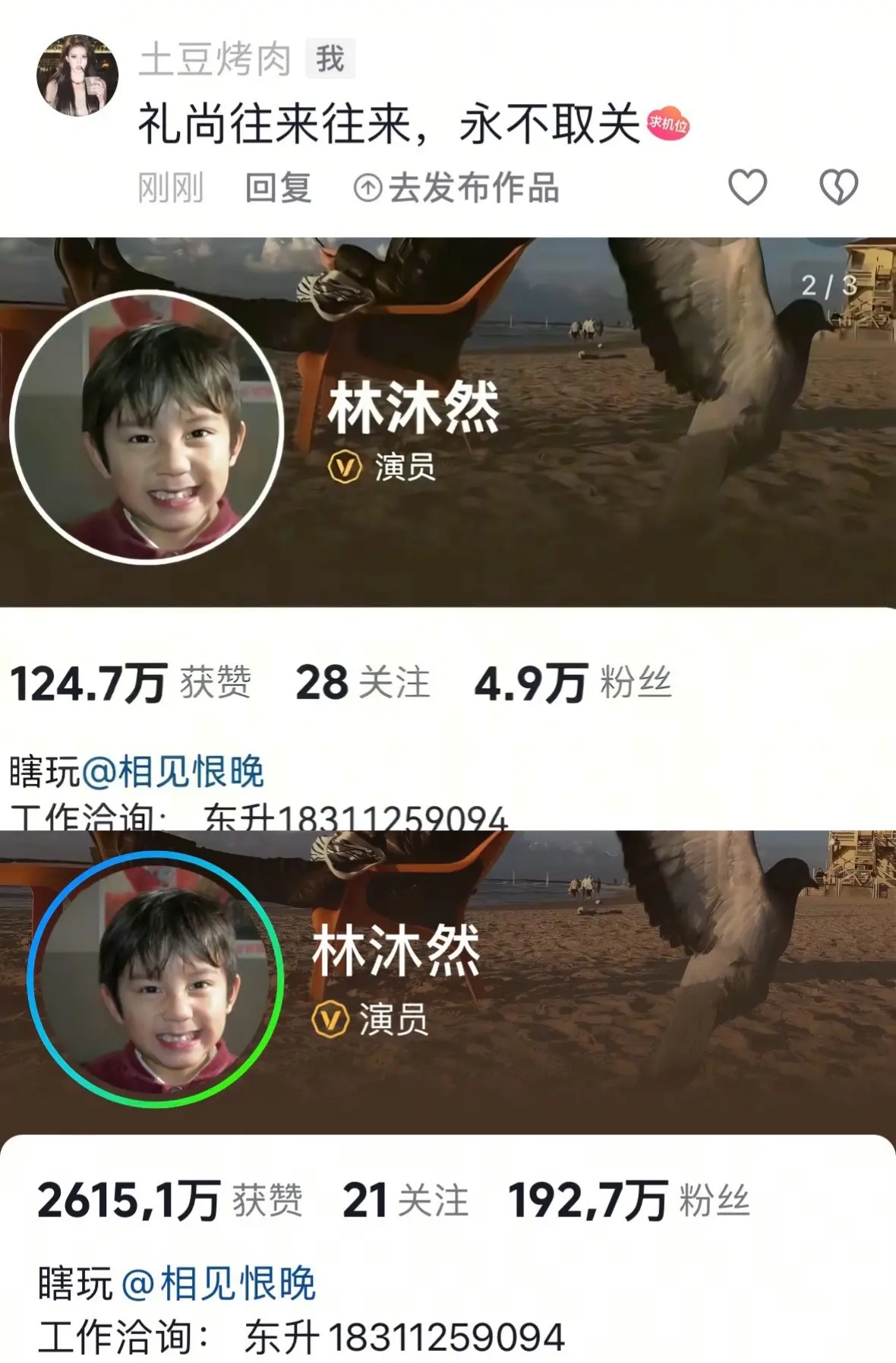 两个字权威太厉害了👍