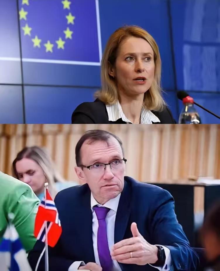 笑不活了！欧盟女议员狂吹“中国威胁”，被挪威外长当场掀桌子，脸都打肿了！

必须