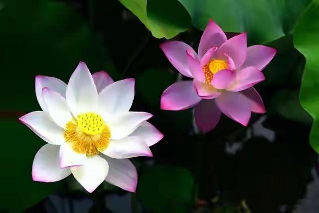 节后A股怎么走？三大黄金坑已现，聪明钱正在悄悄进场！节后A股怎么走？三大赛道或迎