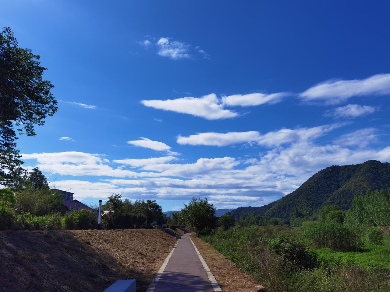 夏天的清凉