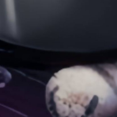 世上没有白费的努力，更没有碰巧的成功，不要揠苗助长，不要急于求成，只要一点一点去