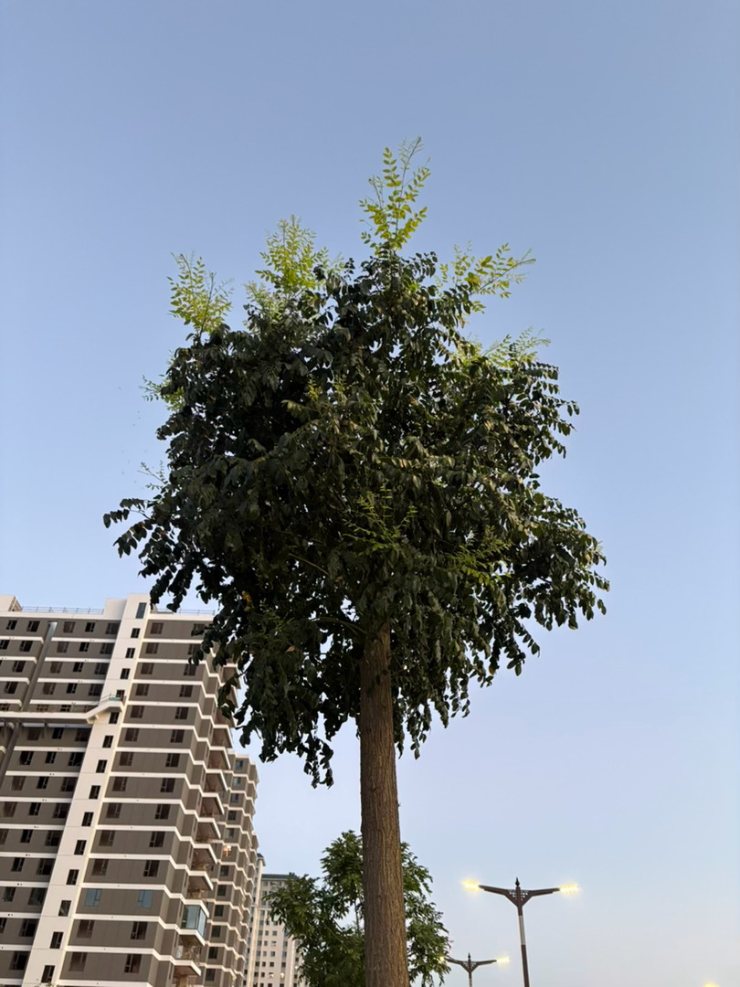我们的天还大亮着＇女女居然很惊讶，怎么还亮？还有宁波的哥们，表示不可思议。 