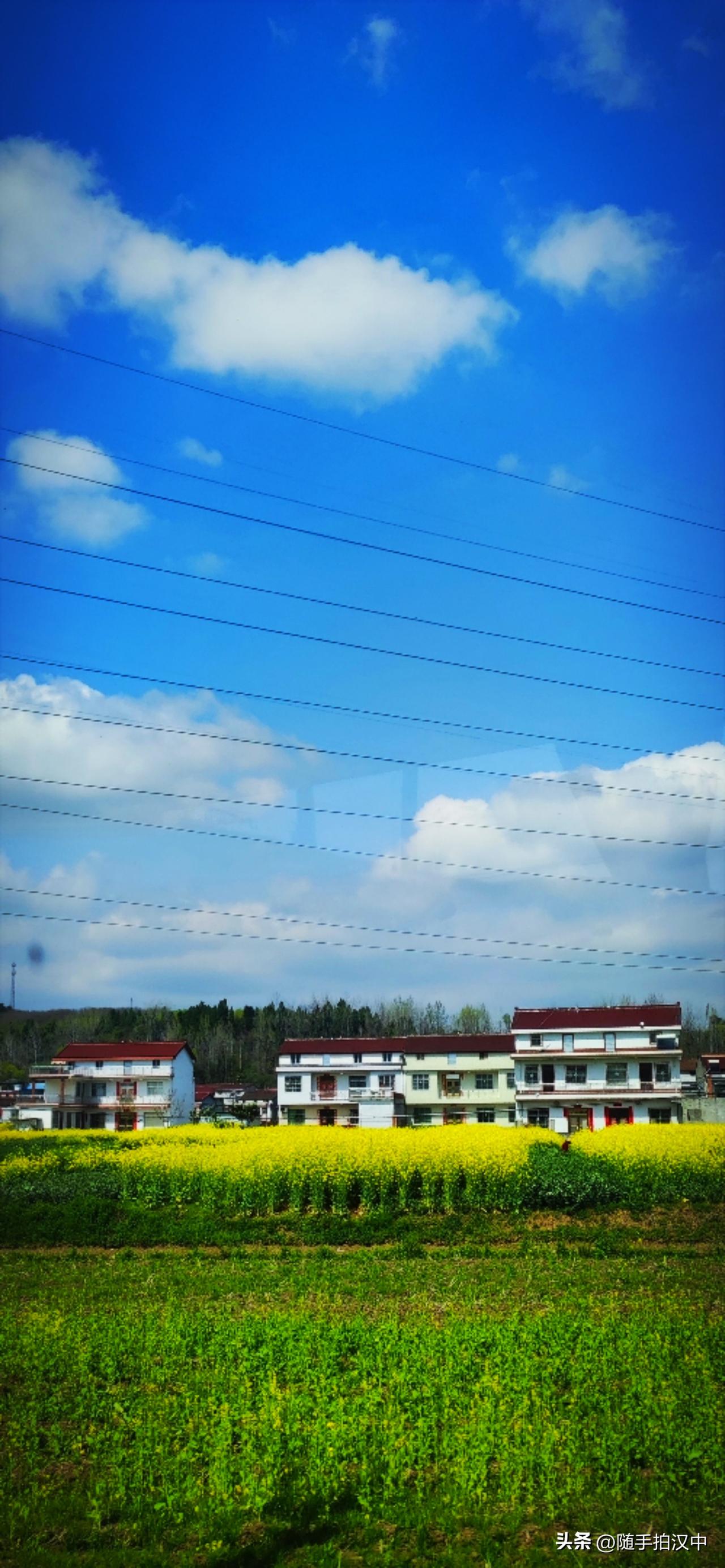 望一眼窗外的田野，心情大好。果然：自然，是一种奢侈的美。蓝天白云掩映着麦苗青菜花