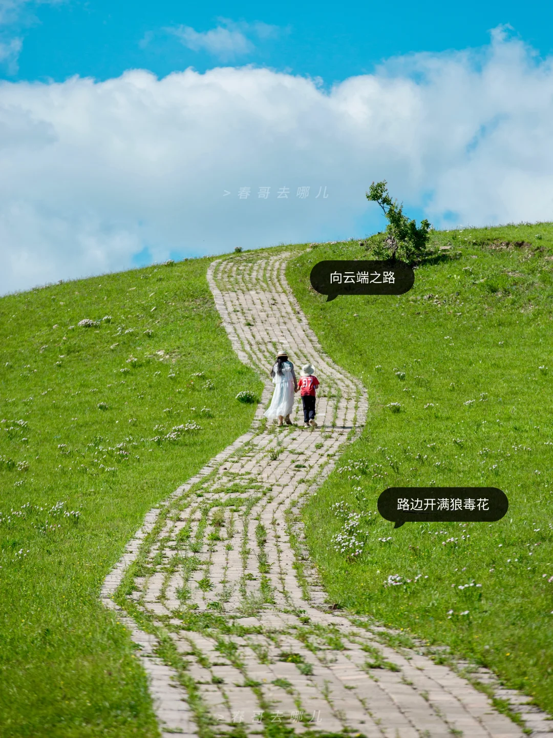 京北避暑第一名，丰宁百里天路小众玩法路线